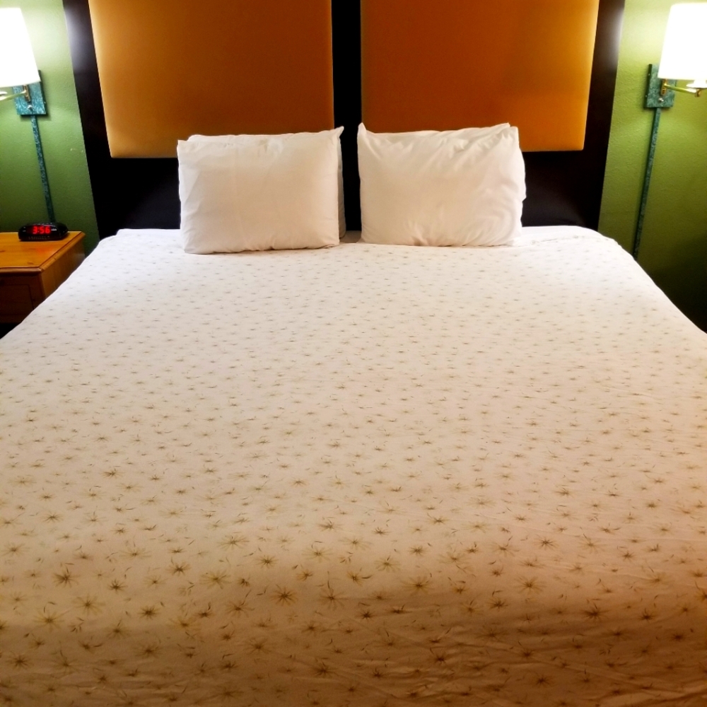 Comforter/duvet cover